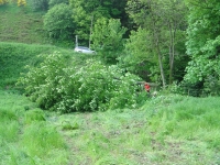 7th June 2008 035